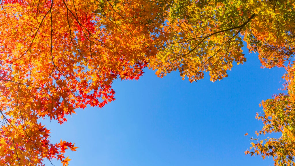 More near-record warmth Monday in Minnesota ahead of big cooldown — WCCO / CBS Minnesota, Crystal Community news