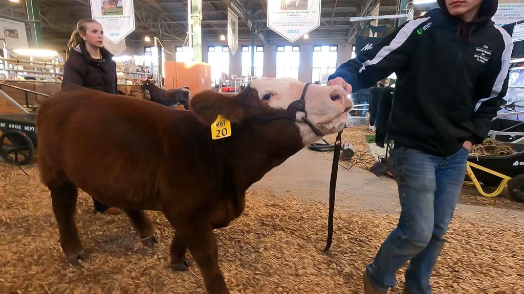 Spotlight on beef as Minnesota midterms near — WCCO / CBS Minnesota, Crystal Community news