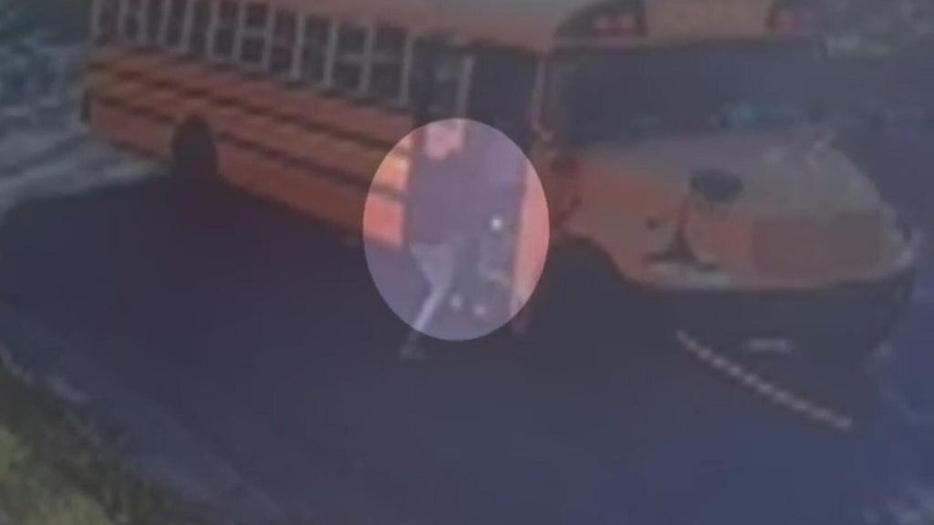 Video shows quick-thinking bystander stop runaway St. Paul school bus — WCCO / CBS Minnesota, Crystal Health news
