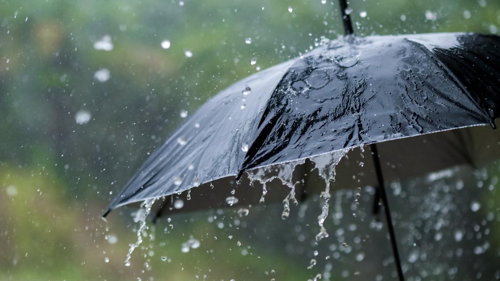 Widespread rain in Minnesota Monday; milder air returns Tuesday — WCCO / CBS Minnesota, Crystal Community news