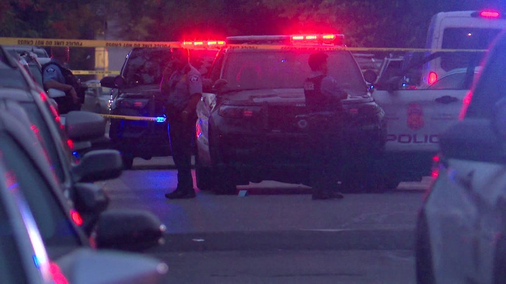 Officer fires gun after armed carjacking, squad car hit by stolen car — WCCO / CBS Minnesota, Crystal Health news