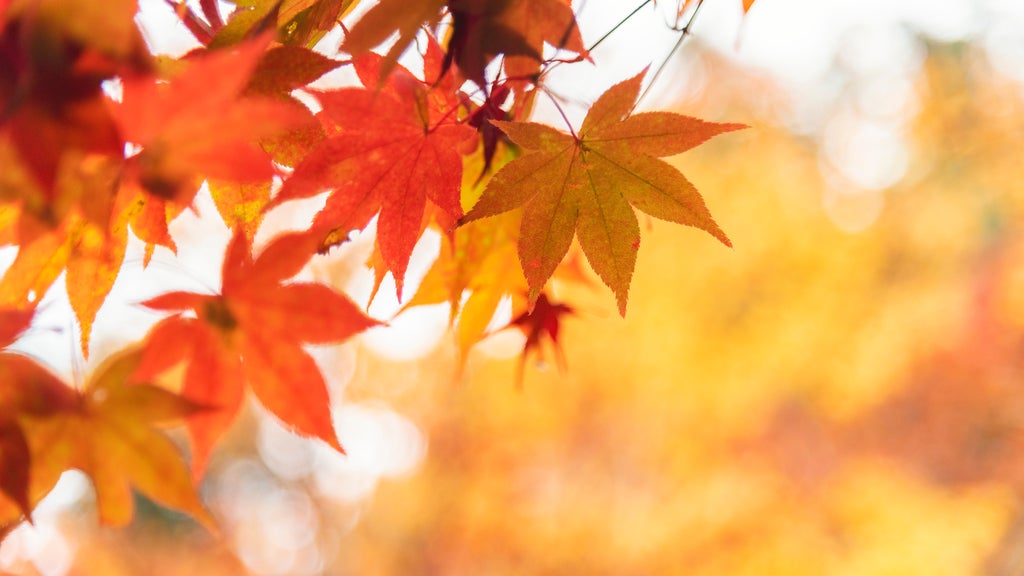 More sunny, mild late October weather in Minnesota Tuesday — WCCO / CBS Minnesota, Crystal Business news