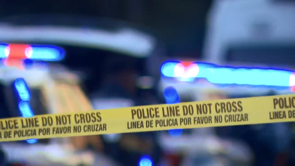 Man accused of stabbing, killing his own mother in Tamarac, BSO says — CBS Miami, Crystal Health news