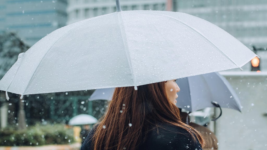 Soggy, chilly Thursday in the Twin Cities; season's first frost possible Saturday — WCCO / CBS Minnesota, Crystal Sports news