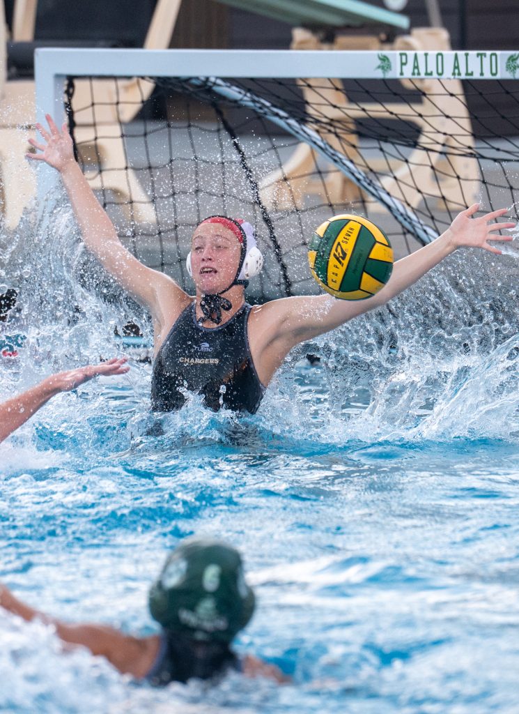 Wilcox Water Polo Caught in Vikings Rip Current — Silicon Valley Voice, Crystal Sports news