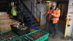 Food aid charity under pressure from fuel costs — BBC Business, Crystal Business news
