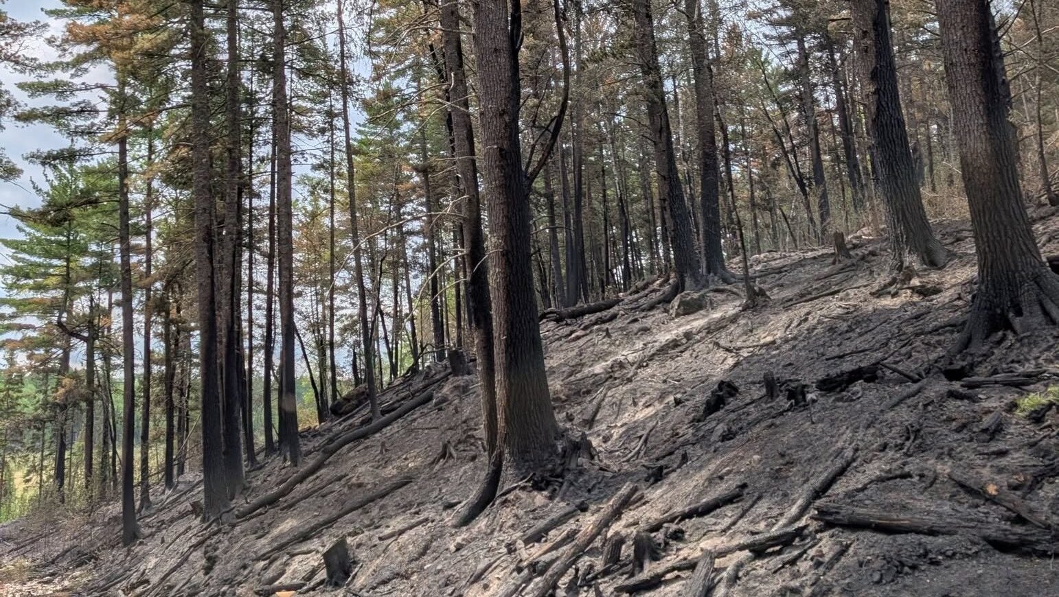 74-year-old who became separated from his family on a trail in Ely was discovered dead — KSTP 5, Crystal Community news
