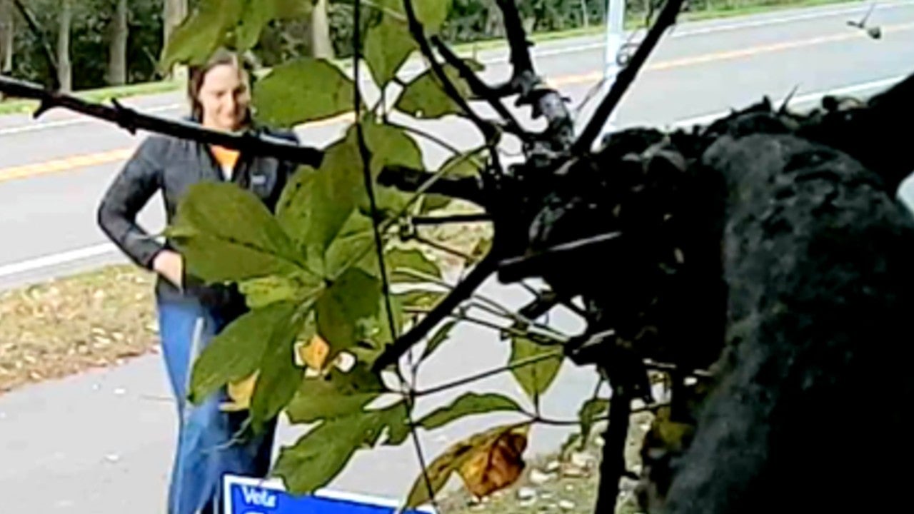 Video: Vadnais Heights council member removes mayoral candidate’s campaign sign, tosses it aside — KSTP 5, Crystal Real Estate news
