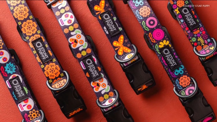 Día de los Muertos pet accessories at Stunt Puppy in Edina