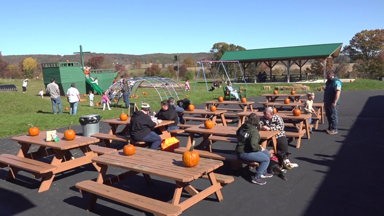 Outdoor festival in Columbia County brings together artists and businesses to connect with the community — WNEP 16 (Scranton/Wilkes-Barre), Crystal Arts news