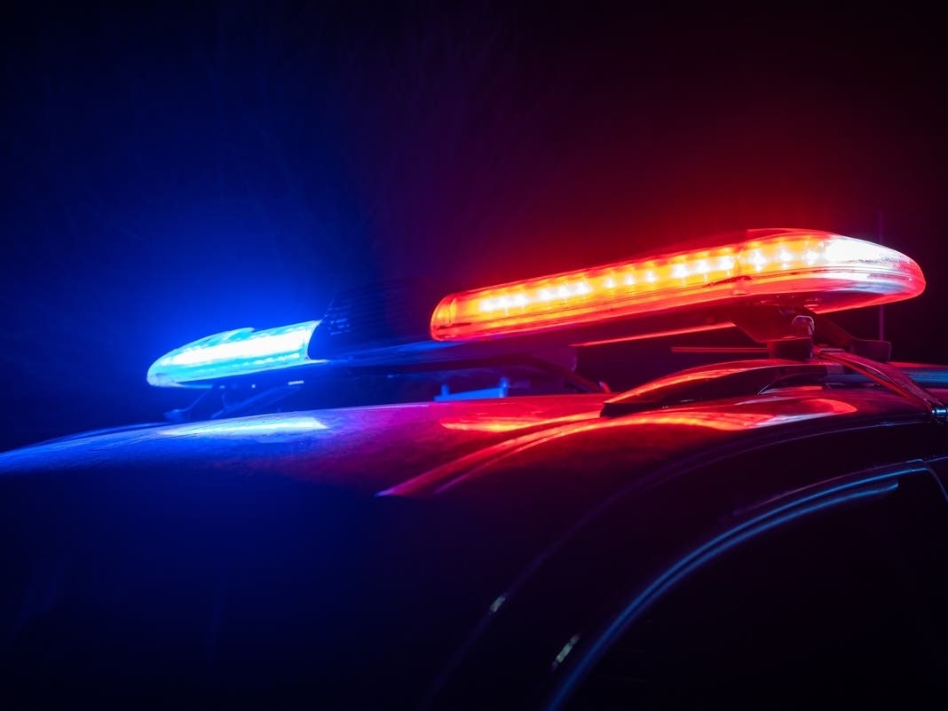 Police Training Taking Place In Coyote Hills, School In Fremont. What To Know — Piedmont Patch, Crystal Schools news
