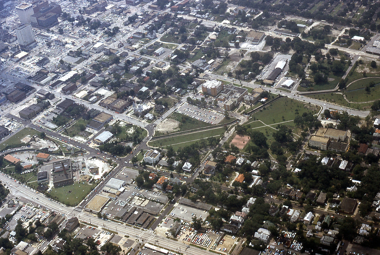 THE JAXSON | The oak tree that remembers Black Bottom — Jacksonville Today, Crystal Schools news