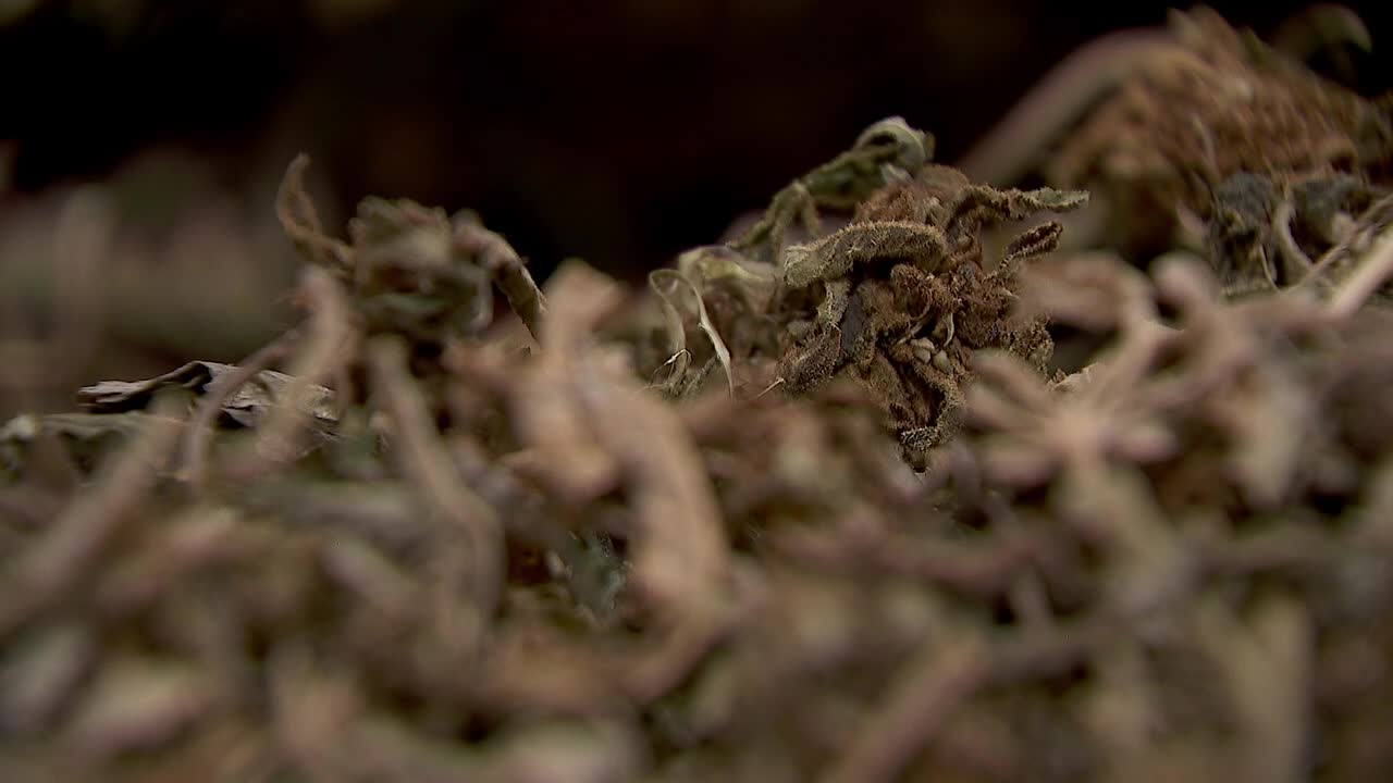 Hemp THC deadline hits $200 million industry, leads to layoffs, but liquor stores may maintain — FOX 9, Crystal Business news