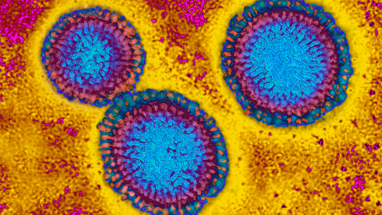Flu hospitalizations 'slightly higher' than usual, officials urge vaccinations — FOX 9, Crystal Health news