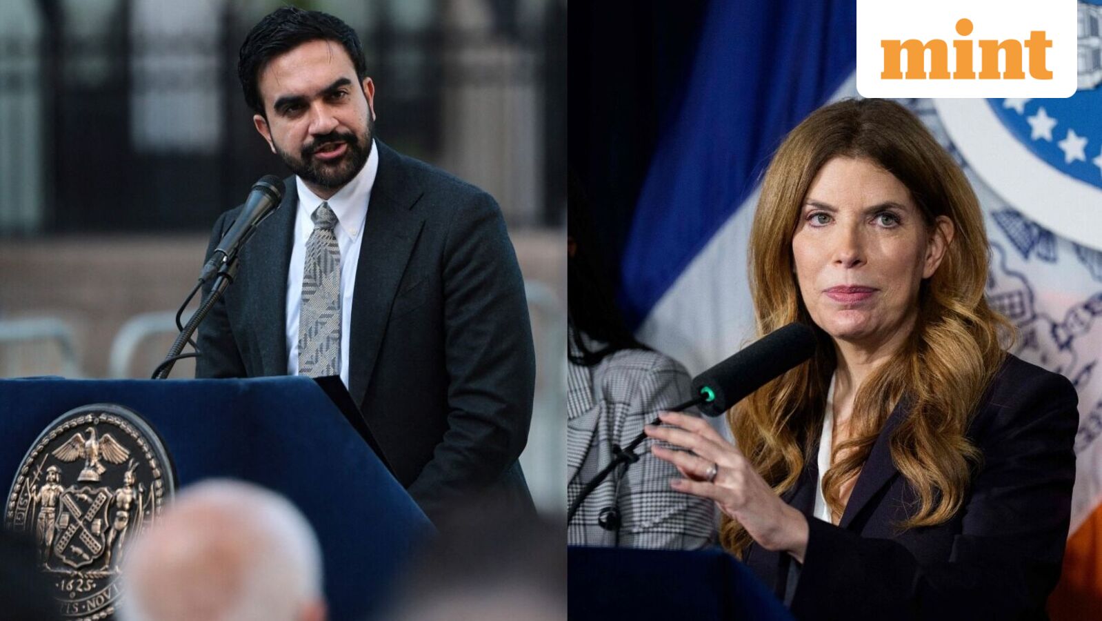 New York City's historic horse carriage rides to come to an end soon? All about Mayor Zohran Mamdani's latest move — Mint India, Crystal Government news